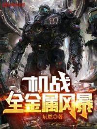 机战全金属风暴角色介绍
