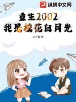 重生我的2002