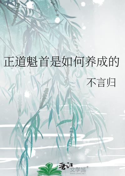 正道魁首是如何养成的讲的什么