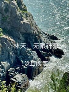 主角名叫林天