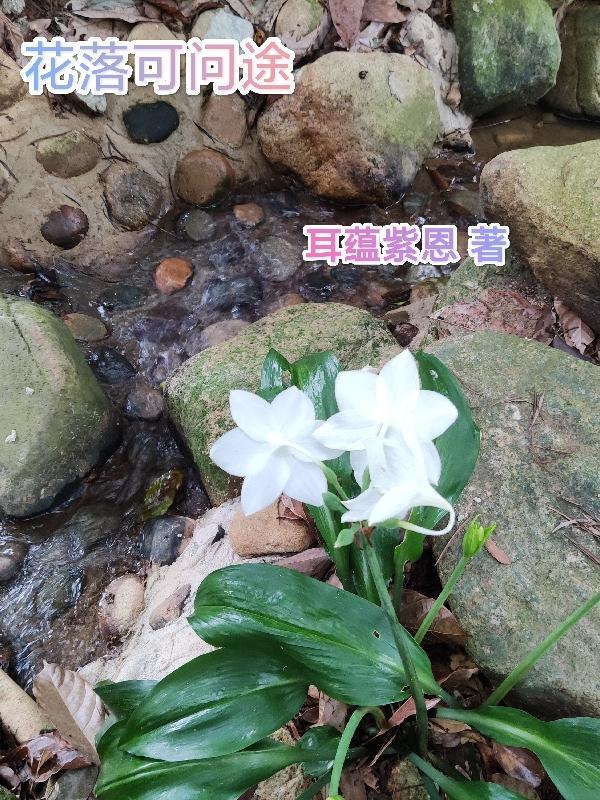 花落有谁知