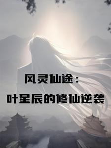 灵风神书叶辰免费阅读