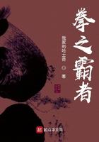 拳之霸者无弹窗