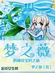 神奇宝贝梦之旅第100章