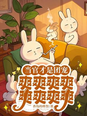 县委书记辞职下海后的事