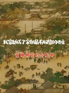 我到宋朝当皇上